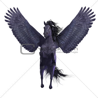 Black Pegasus on White