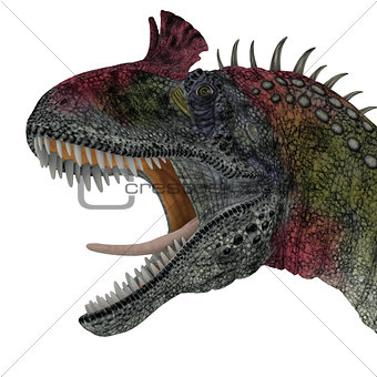 Cryolophosaurus Dinosaur Head