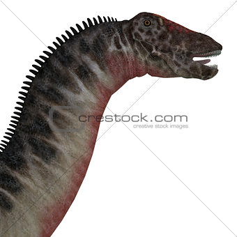 Dicraeosaurus Dinosaur Head