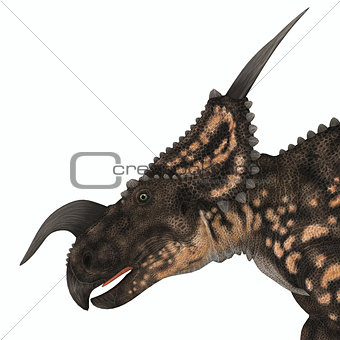 Einiosaurus Dinosaur Head