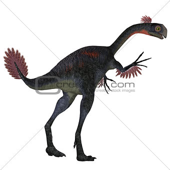Gigantoraptor Dinosaur Tail