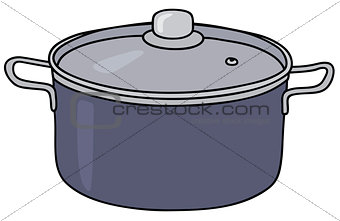 Blue steel pot