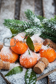 Fresh tangerine on the snow-covered table