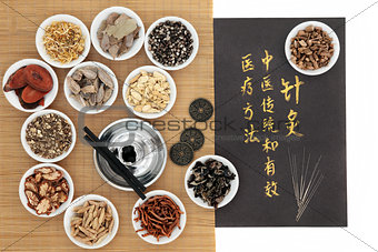 Acupuncture Traditional Chinese Medicine