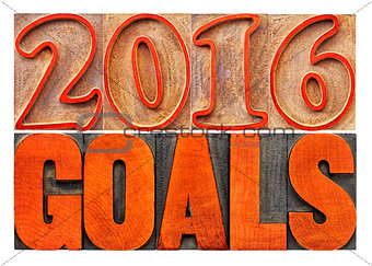 2016 goals banner in wood type