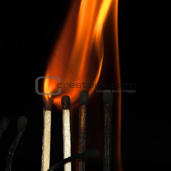 Burning matches on black