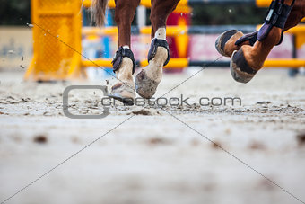 view of horse hooves at jumping competition training