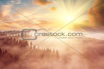 Majestic landscape with forest