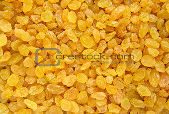 Golden raisins background