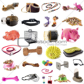pet accessories
