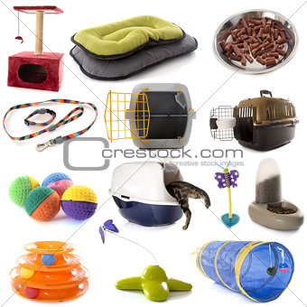 group of cat accessories