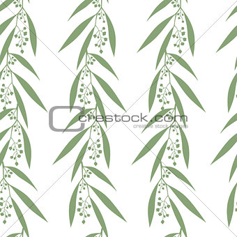 Seamless pattern branches of eucalyptus