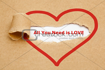 All You Need is Love Torn Paper