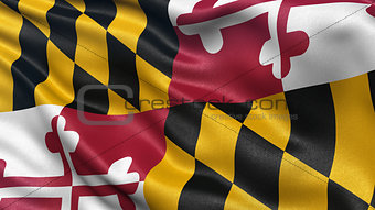 US state flag of Maryland