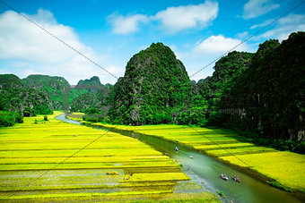 Rice fields and river