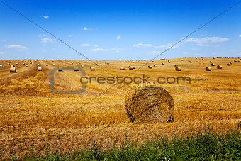 straw stack . harvesting