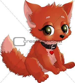 beautiful fox on a white background