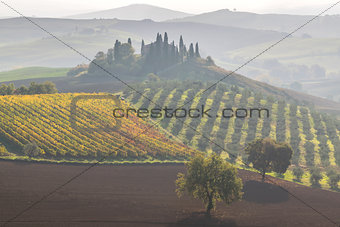 Beautiful landscapes of Tuscany
