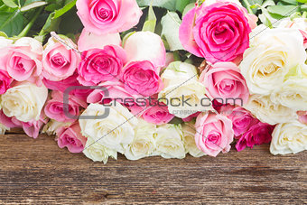 pink and white  roses