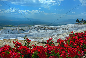 Pamukkale view with red flowers in foreground