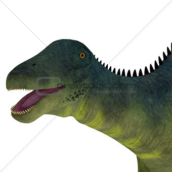 Brachytrachelopan Dinosaur Head