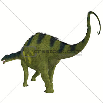 Brachytrachelopan Dinosaur Tail
