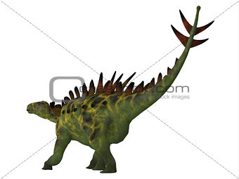 Huayangosaurus Dinosaur Tail