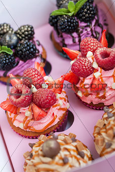 Set of different delicious cupcakes 