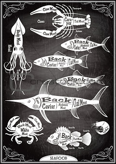 vector set stilysh diagrams cut of different seafood carcasses