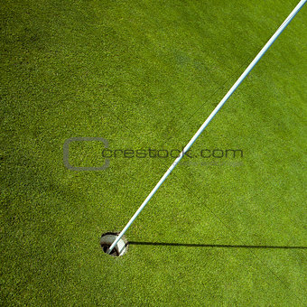 golf flag in green hole