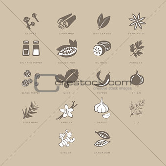 Spices Set, Vector Illustration