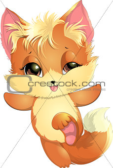 beautiful fox on a white background