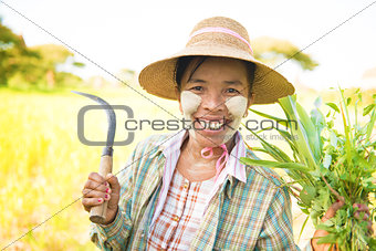 Traditional mature Burmese female farmer