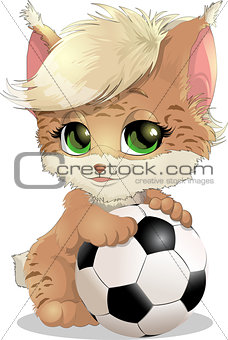 lynx with a ball on a white background