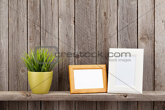 Blank photo frames and plant