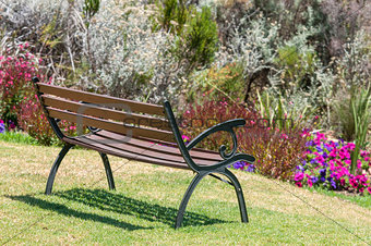 Rustic bench between flowers 