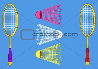 Equipment for the badminton