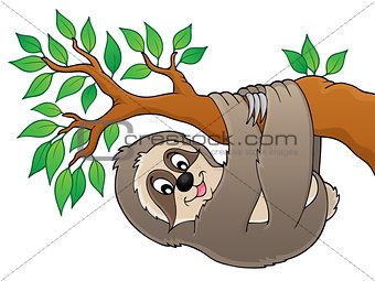 Sloth on branch theme image 1