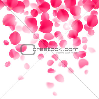 Red Rose Petals Background