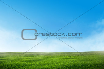 Green grass lawn with blue sky and mist