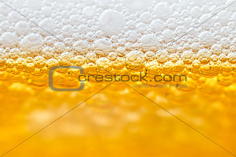 Beer with foam in transparent glass. Macro