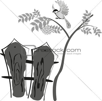 Black and white stylized drawing, bird sitting on a tree Rowan. Below is a fence. EPS10 vector illustration