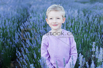 boy in lavender field