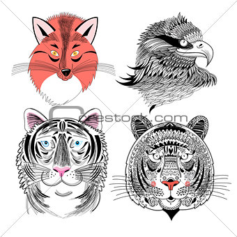 fox eagle and tiger