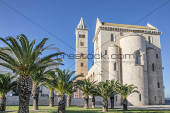 Cathedral of Trani with palm trees in front