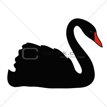 Black vector swan