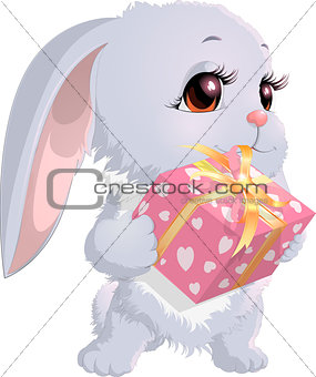 cute bunny holding a box with gifts