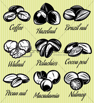 set of symbols patterns different seeds, nuts, fruits