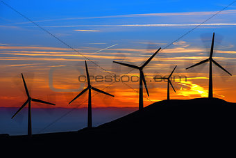 Silhouettes of Wind Turbines at Sunset