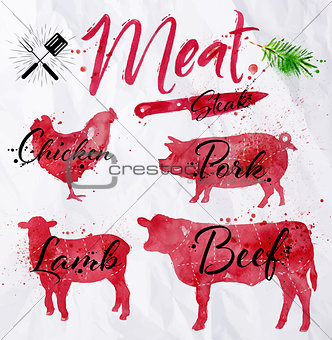 Set meat silhouettes 